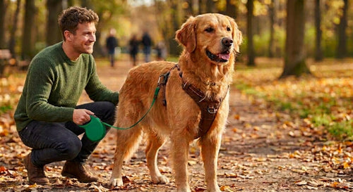 Automatic Retractable Dog Leash - Dual Size Options with Brake & Lock Safety System